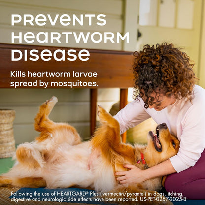 HEARTGARD® Plus (ivermectin/pyrantel) Real-Beef Chewables for Dogs up to 25 lbs (Blue Box) 12 Month Supply of Chews (Heartworm Disease Preventive)