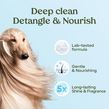 PAWFUME Dog Shampoo and Conditioner, Blue Ribbon, 4-Pack – Nourish & Detangle for a Silky Soft Coat – Probiotic, Deep-Cleaning, pH-Balanced Formula – Puppy Shampoo and Conditioner for All Breeds