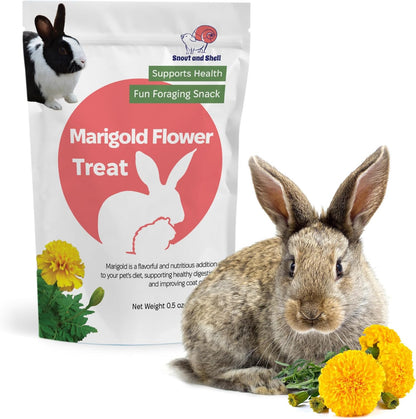 Snout and Shell Marigold Flower Treat for Small Pets – Organic, Healthy Digestive Support – Fun Foraging Snack for Rabbits, Guinea Pigs, Chinchillas, and More – 0.5 oz / 14g