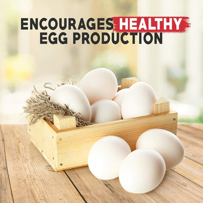 Non-GMO Backyard Chicken Nesting Herbs (4 lb) - Naturally Keep A Clean Coop Your Hens Will Love - Chicken Supplies and Feed WormBGone