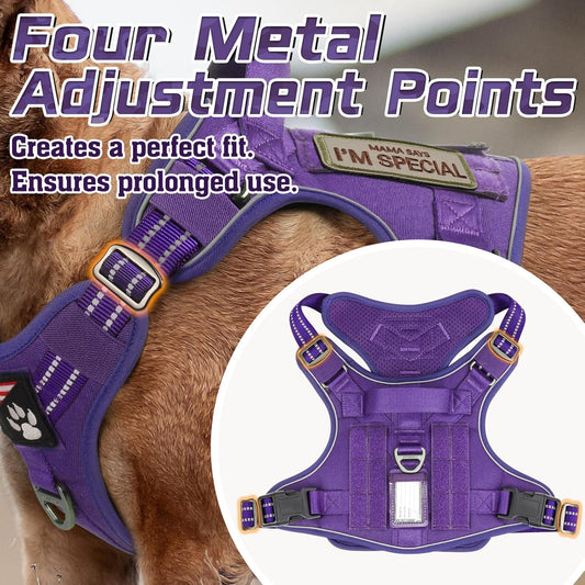 rabbitgoo Tactical Dog Harness for Small Dogs, No Pull Military Service Vest with Handle & Molle, Easy Control for Training Walking, Adjustable Reflective Straps, Purple, S