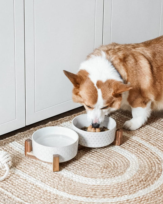 Dog Bowls Ceramic for Small Medium Dogs - 3-Cup Dual Food & Water Bowl Set with Acacia Wood Stand, Non-Slip Anti-Tip Elevated Design