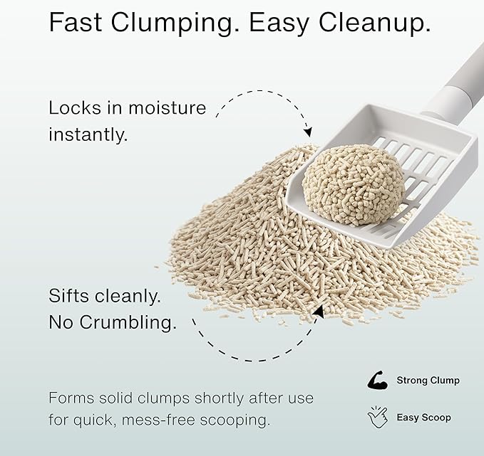 RAWRY Tofu Cat Litter | Clumping, Dust-Free, Unscented, Natural Compostable & Flushable Kitty Litter for Odor Control | 3 Month Supply: 23.1lb