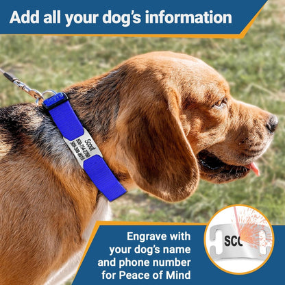 GoTags Reflective Personalized Dog Collar with Nameplate, Adjustable Dog Collar with Custom Engraved Steel Slide On Pet ID Tag, Silent, No Noise Dog Tag for Large Medium or Small (Light Gray, Small)