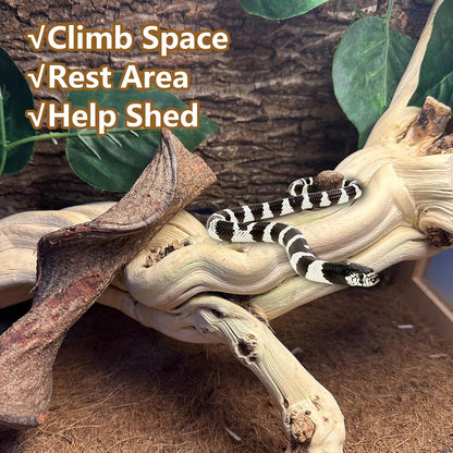 BNOSDM Reptile Branches, 15-17inch Snake Climbing Branch, Terrarium Wood Branch Decor, Bearded Dragon Tank Climbing Accessories for Lizard, Gecko, Chameleon, Frog, 2Pcs