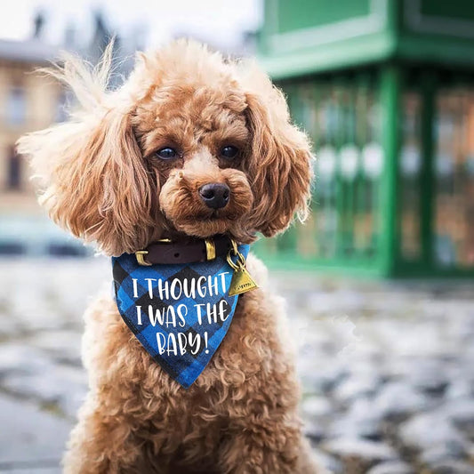 I Thought I was The Baby Funny Red Plaid Cotton Pet Dog Triangle Bandana Bibs, Pet Dog Gender Reveal Pregnancy Announcement Photograph Scarf Photo Props Birthday Party for Pet Dog Lovers Gifts