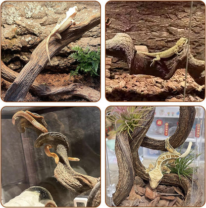 BNOSDM 3Pcs Reptile Climbing Branches Decor,Snake Climbing Branch,Gecko Climb Wood,Lizard Forest Branch,Tank Habitat Tree Trunk Decorations for Bearded Dragons,Chameleons,Spider,Frogs (M)