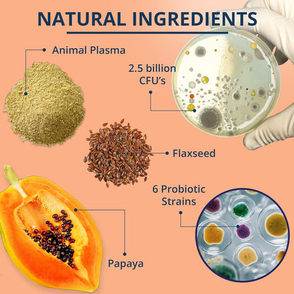 NOVEHA Probiotic Chews for Dogs | Gut Health & Digestive Support | Healthy Skin & Coat | Dog Probiotics for Yeast - Itchy Skin & Itchy Ears | for Dogs with Allergies | 90 Chews (1-Pack)