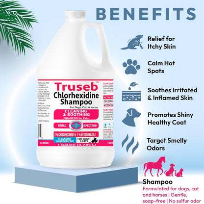 Truseb Topical Ketoconazole and Chlorhexidine Shampoo for Dogs, Cats & Horses Pleasantly Scented with a Cucumber Melon Scent with Aloe (Ketoconazole & Chlorhexidine Shampoo, 1 Gallon)