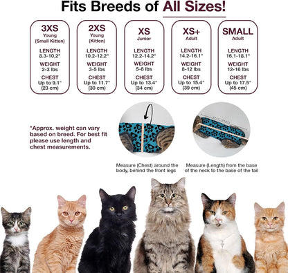 Bellyguard Cat Recovery Suit Female and Male, Comfy Onesie After Surgery, Kitten Clothes for Post-Op Care, Neuter and Spay Healing Outfits for Cats Only – Comfortable Kitten and Adult Cone Alternative