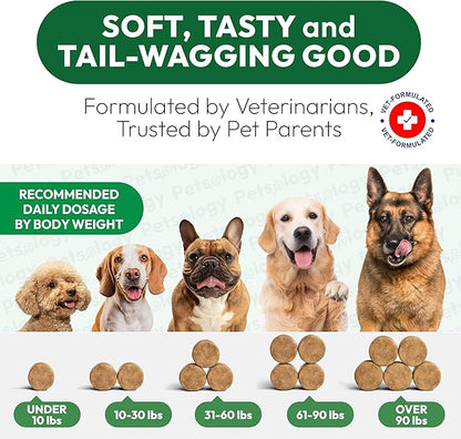 Hemp Hip and Joint Supplement for Dogs - Glucosamine for Dogs - 170 Mobility Support Chews - Advanced Joint Pain Relief Treats with Chondroitin, MSM, Turmeric - Large & Small Breeds - Made in USA