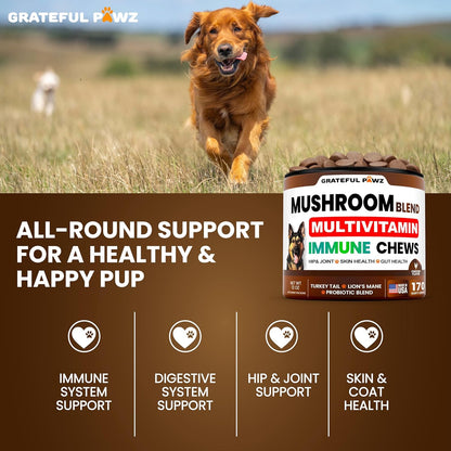 Mushroom Supplement for Dogs - 170 Chews - Mushrooms for Dogs - Turkey Tail, Reishi, Lion’s Mane, Glucosamine Multivitamin - Immune Booster, Gut, Hip & Joint Health Support Vitamins, Energy & Skin