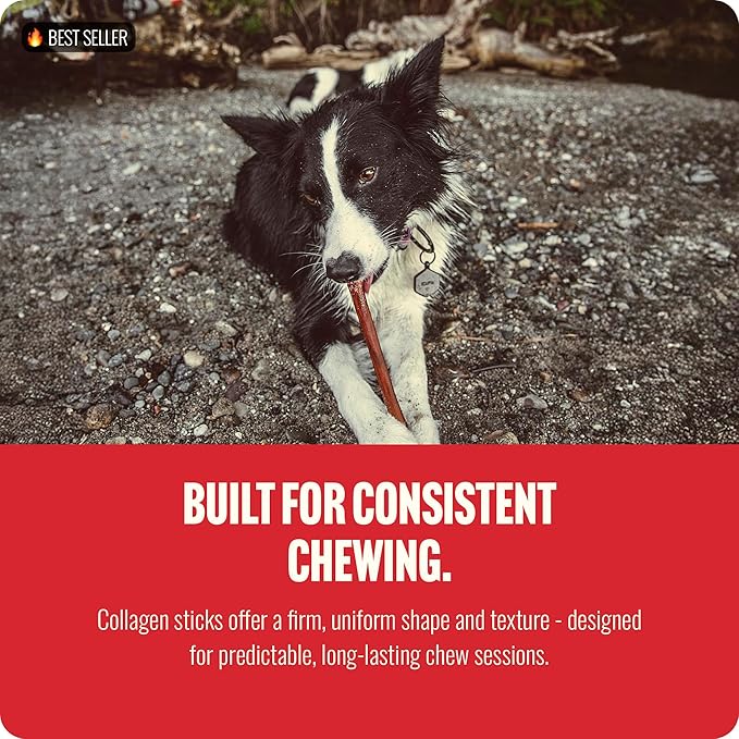 Natural Farm Bully Coated Gourmet Collagen Sticks (4 Inch, 10 Pack), Real Bully Beef Coated, 95% Natural Collagen Dog Chews, Supports Healthy Joints, Skin & Coat - Best for Small & Medium Dogs