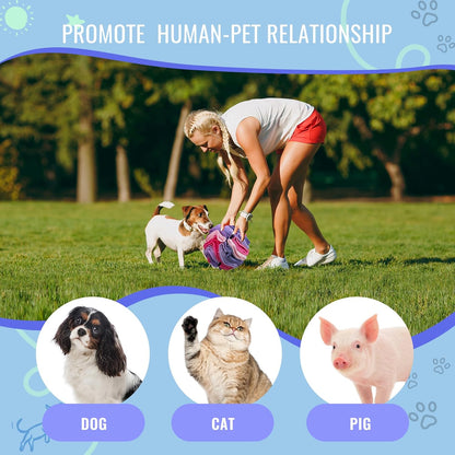 Pet Snuffle Ball, Puzzle Sniffing Interactive Dog Ball for Blind Dogs Training Stress Relief Dog Enrichment Toys Treat Machine Washable (Pink and Purple, 10cm)