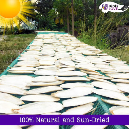 Birds LOVE Natural Cuttlebone – Premium Calcium & Trace Mineral Supplement for Avian Species, Tortoises, and Snails – Pure Cuttlebone for Parakeets and All Birds - 12 Pack, Size 3.5 to 4"