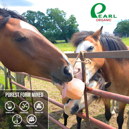 Horse Salt Lick 6lb on Rope for Horse