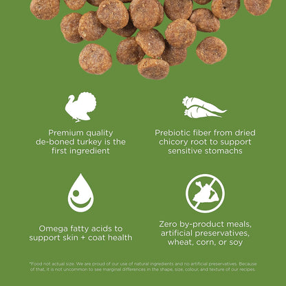 Go! Solutions Sensitivities Limited Ingredients, Grain-Free Dry Dog Food, Turkey Recipe for Sensitive Stomach, 22 lb Bag