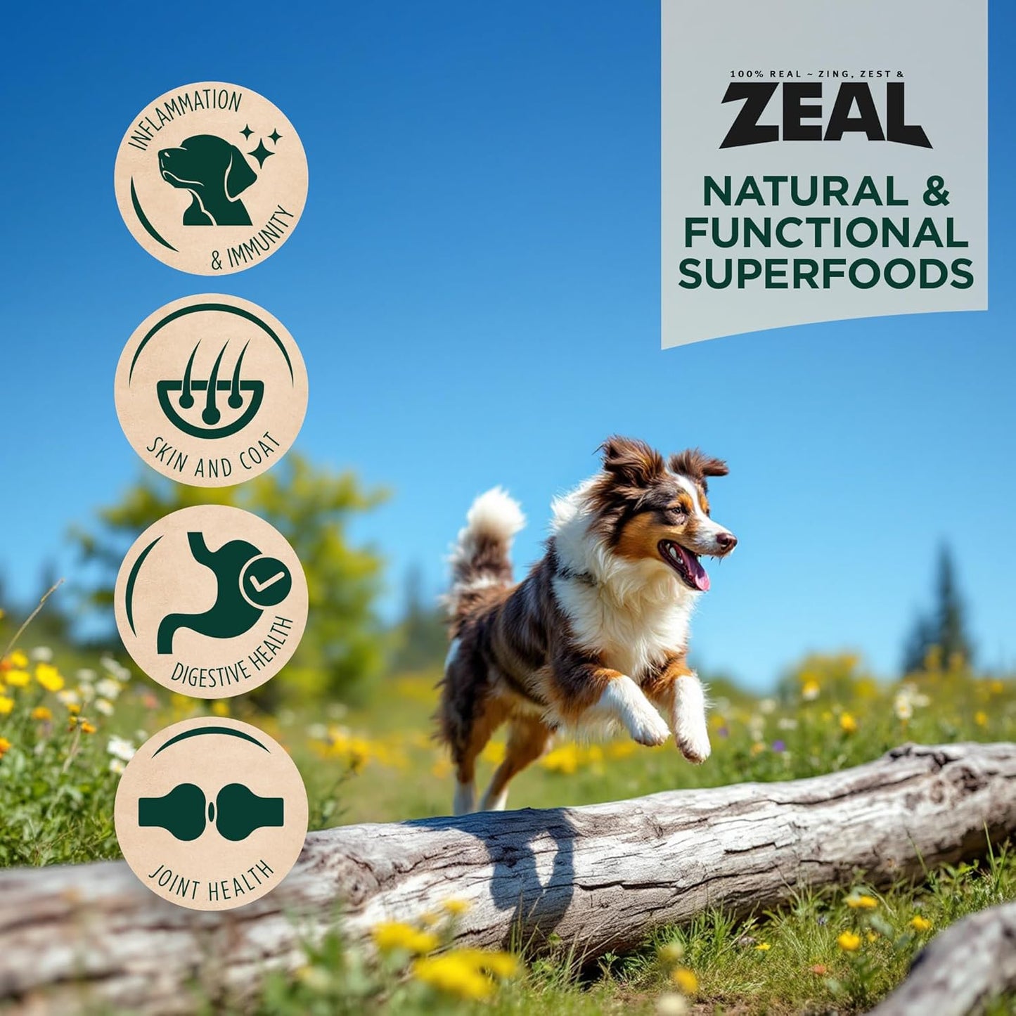 ZEAL Canada Air-Dried Salmon & Duck Recipe for Dogs - Superfood Omega-3 Rich, Dual-Protein, Grain Free, No Fillers, Complete Nutrition (Salmon & Duck, 2.2 lb)