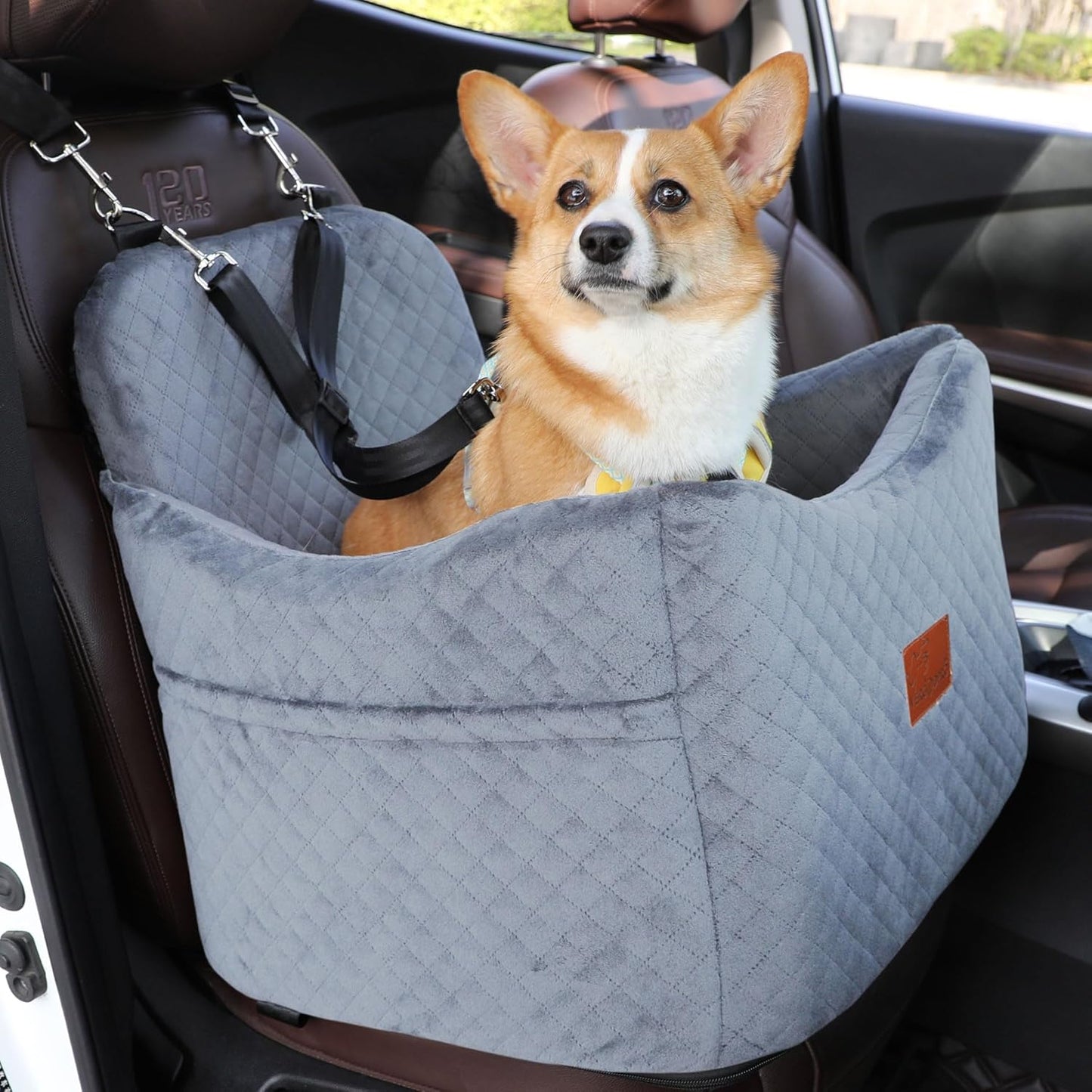 Dog Booster Car Seat for Dogs under 35lbs,Elevated Pets Seat with Safety Strap,Ultra Soft Fabric and Memory Foam Car Dog Bed,Safety,Comfy,Non-Slip&Washable Carseat Cushion for Travel,Cars,SUV.(H-Grey) - Pawvie