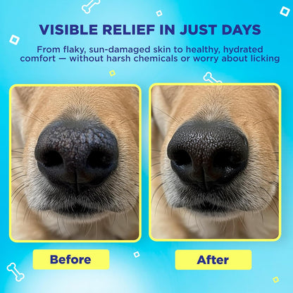 Handy Hound SnoutScreen Dog Paw Balm and All-Natural Dog Nose Balm for Dry, Cracked Skin, Dog Itching Skin Relief, Dog Sunscreen, Vet Recommended, Made in USA, Protects Against UVB and UVC Rays, 1 oz