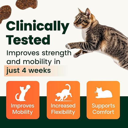 VetriScience Extra Strength Healthy Hip & Joint-Chews, GlycoFlex Glucosamine & Green-Lipped Mussel JointSupport Supplement, Promote Mobility & Soothe JointDiscomfort, Chicken,60 Count(Pack of 2)