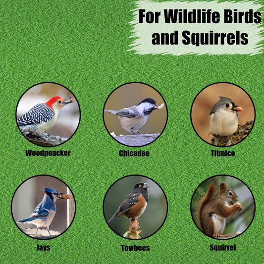 Old Potters Wildlife Shelled Peanuts, 10 lbs for Birds, Squirrels, and Wildlife. USA Grown Non-GMO, Organic Small Farm, Raw Shelled Peanuts. Wildlife Grade.