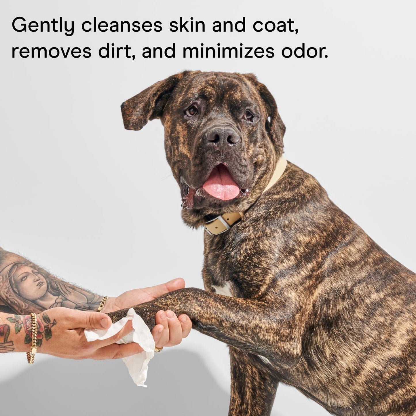 Wild One, Eucalyptus Natural Dog Grooming Wipes, Cruelty-free, resealable lid, 70 wipes per pouch, 210 Count