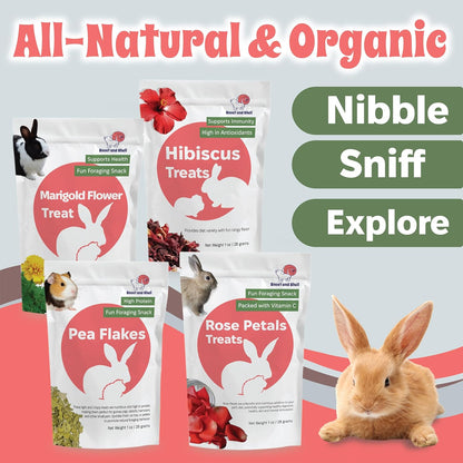 Snout and Shell Floral Favorites 4-in-1 Natural Treats for Small Pets – Pea Flakes, Marigold, Rose Petals & Hibiscus – Healthy Snacks for Rabbits, Guinea Pigs, Chinchillas & More