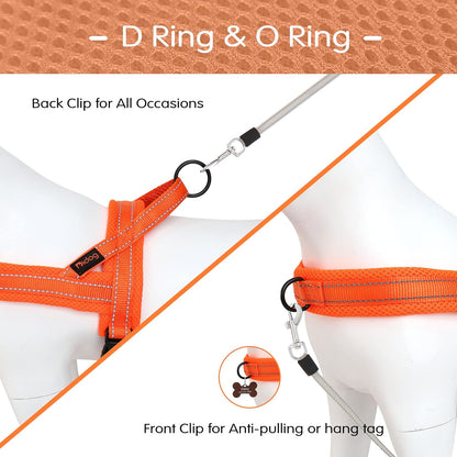 Didog No Pull Dog Harness with Soft Mesh Padded,Reflective & Quick Fit Light Weight Dog Strap Vest Harness,Easy for Walking Training (XS:Chest 15-18", Orange)
