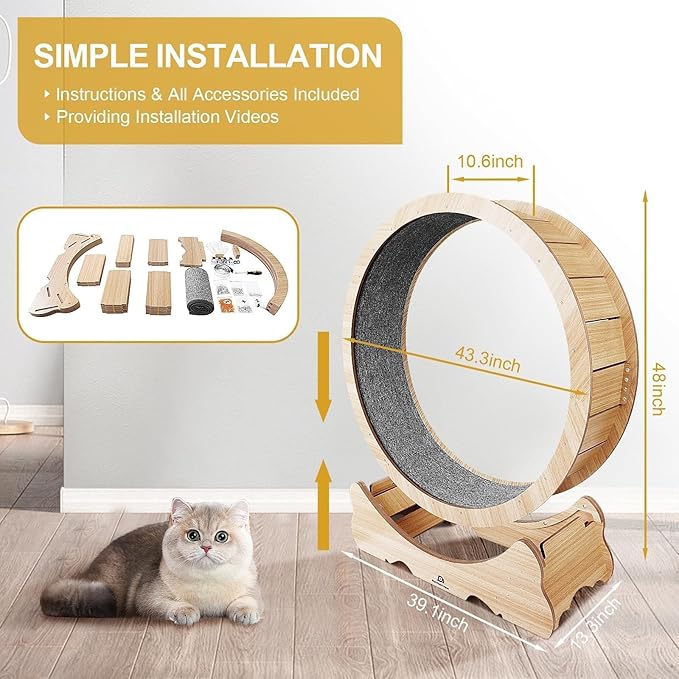 Cat Wheel, 48" XL Large Cat Treadmill for Indoor Pets, Cats Exercise Running Wheel with Detachable Carpet, Quiet and Sturdy, Suitable for Most Cats Running/Walking/Training