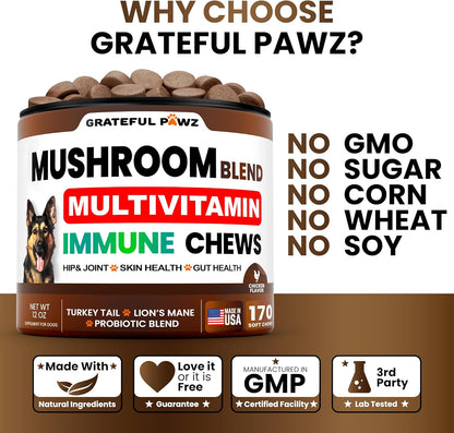Mushroom Supplement for Dogs - 170 Chews - Mushrooms for Dogs - Turkey Tail, Reishi, Lion’s Mane, Glucosamine Multivitamin - Immune Booster, Gut, Hip & Joint Health Support Vitamins, Energy & Skin