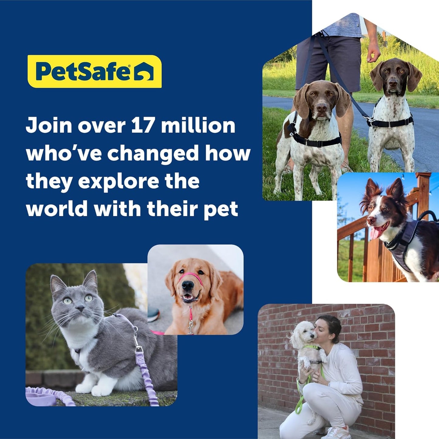 PetSafe 3 in 1 Dog Harness - No Pull Solution for Dogs - Reflective Dog Harness - Front D-Ring Clip Helps Stop Pulling - Comfortable Padded Straps - Top Handle Enhances Control - Plum - Large