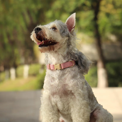 PET ARTIST Soft PU Leather Dog Collar, Bright & Classic Pink Dog Collar with Quick Release Rose Metal Buckle, Adjustable Nylon Padded Durable Pet Collars for Large Dogs Girl, Neck Fit 16-27"