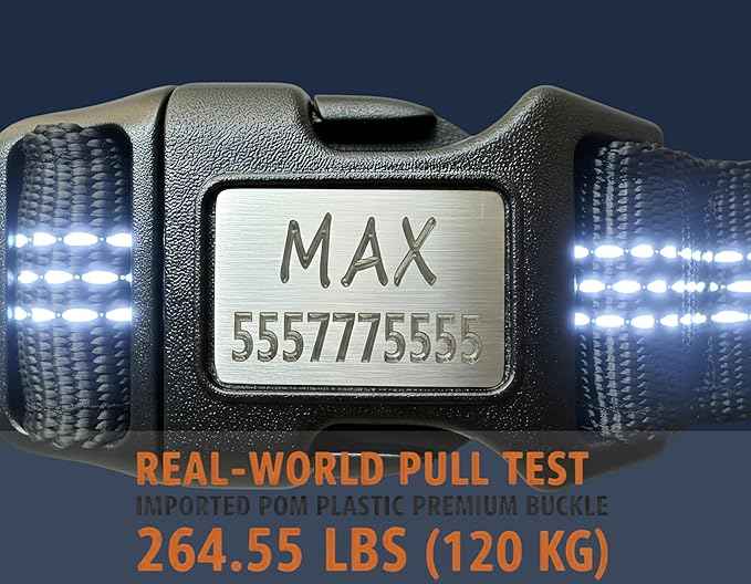 Personalized AirTag Dog Collar with Waterproof Holder, Custom Laser Engraved ID Buckle, Reflective Heavy Duty Nylon Pet Collar for Apple AirTag, Silent Name Plate (No Jingle) (CEM-AT-BK-M)