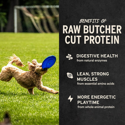 Vital Essentials Beef Bites Dog Treats, 2.5 oz | Freeze-Dried Raw | Single Protein | Premium Quality High Protein Training Treats | Grain Free, Gluten Free, Filler Free