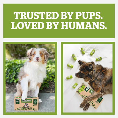 Pogi's Compostable Poop Bags – Leak-Proof, Extra-Large, Made with Plants – 32 Rolls (480 Bags)