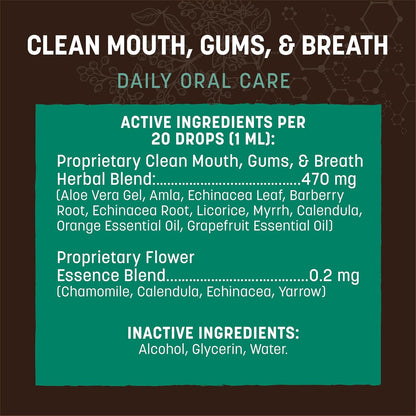Earth Animal Herbal Remedies | Clean Mouth, Gums and Breath | 2 fl oz