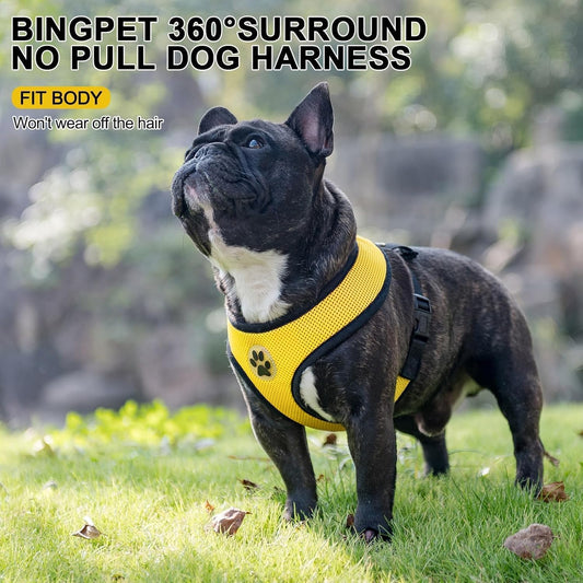 BINGPET No Pull Dog Harness,Soft Mesh Breathable All Weather Vest Harness,Safety Protection Design Durable Adjustable Step-in Easy Walk Dog Harness for Small Medium Large Dogs(Yellow,M)