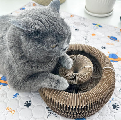 Interactive Scratching Board for Playful Kitties Magic Accordion Cat Scratching Post, Fun Cat Toys for Indoor Cats 1Pack