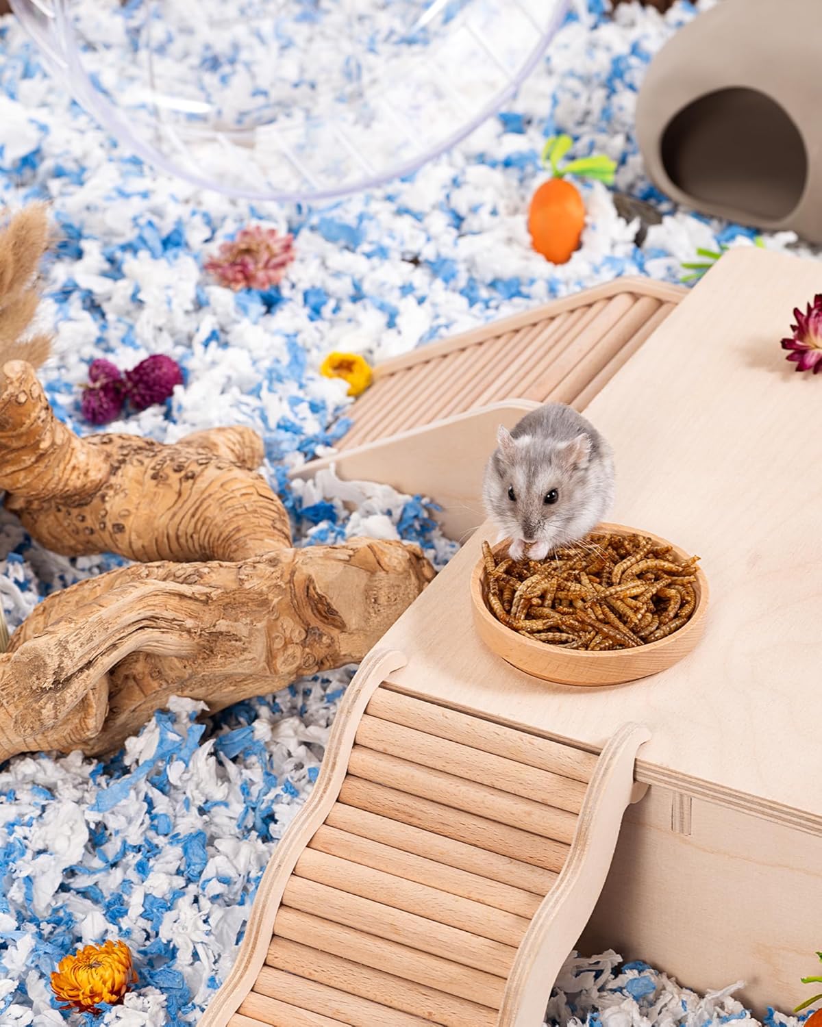 Niteangel Small Animal Snack & Treats - Small Critter Natural Treat for Dwarf Syrian Hamsters Gerbils Mice Sugar Glider Hedgehogs Chickens Birds