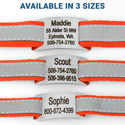 GoTags Reflective Personalized Dog Collar with Nameplate, Adjustable Dog Collar with Custom Engraved Steel Slide On Pet ID Tag, Silent, No Noise Dog Tag for Large Medium or Small (Orange, Small)
