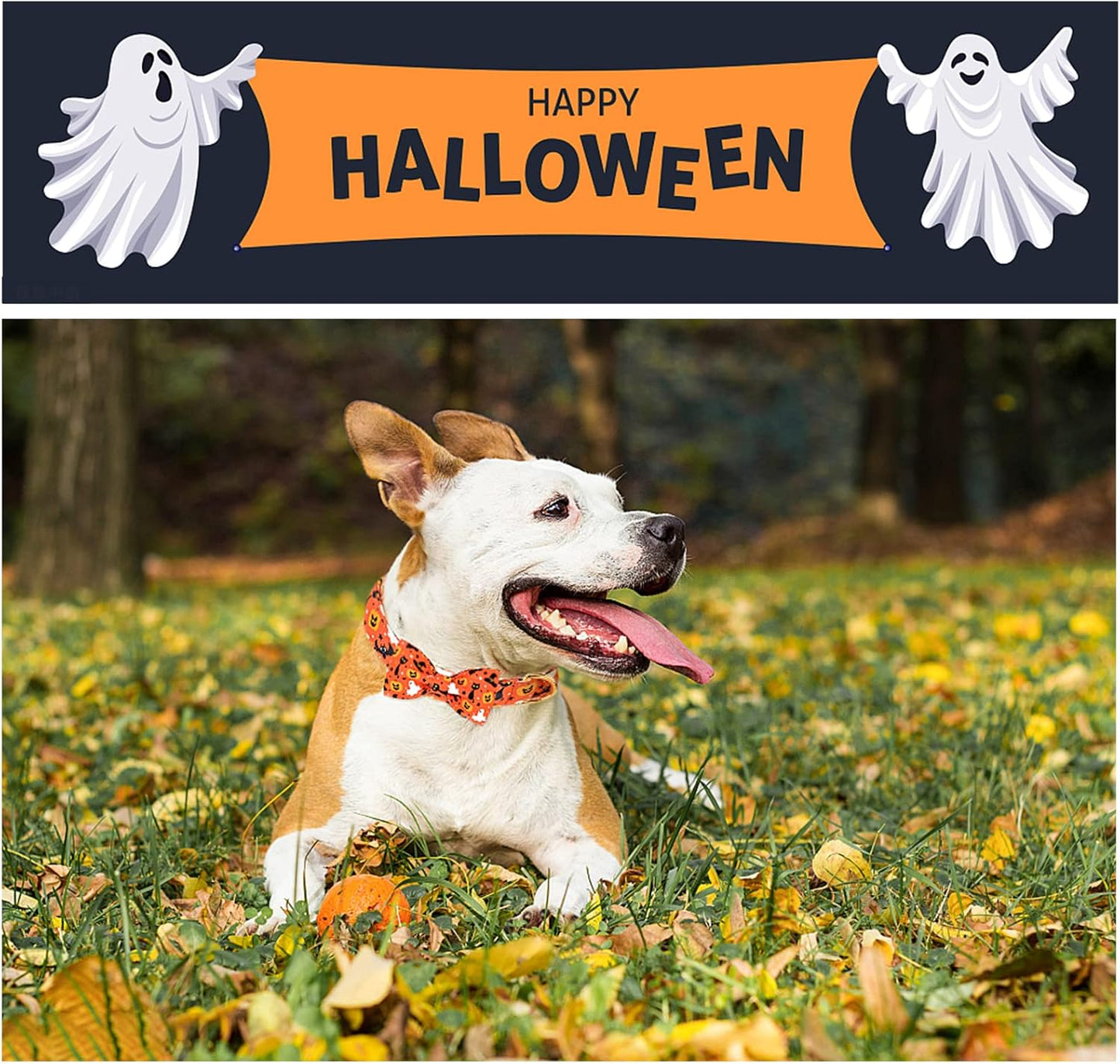 Unique style paws Halloween Dog Collar with Bow Tie Cotton Adjustable Puppy Collar for Small Medium Large Dogs-M