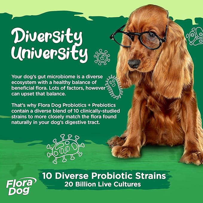 Vital Planet - Flora Dog Probiotic Chewable Tablets Supplement with 20 Billion Cultures and 10 Strains, High Potency Immune and Digestive Support Probiotics for Dogs, 30 Beef Flavored Chewable Tablets