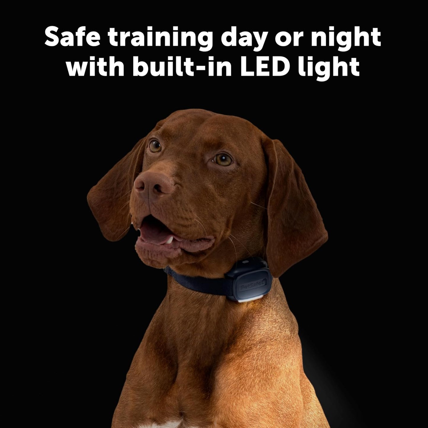 PetSafe Core Remote Trainer Add-A-Dog Collar – Extra Collar for Dog Training Collar with Remote – Waterproof – Tone, Vibration and 15 Levels of Static – Built-in LED Light