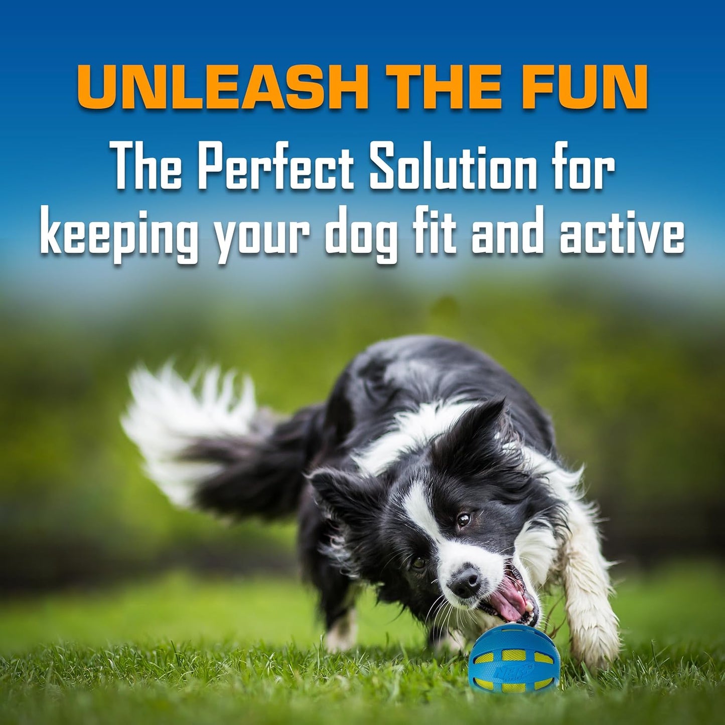 Nerf Dog Toy Gift Set, 3-Piece Set of Outdoor Dog Toys for Fetch, Includes Checker Crunch Ball, Spike LED Squeak Ball and Tire Squeak Football