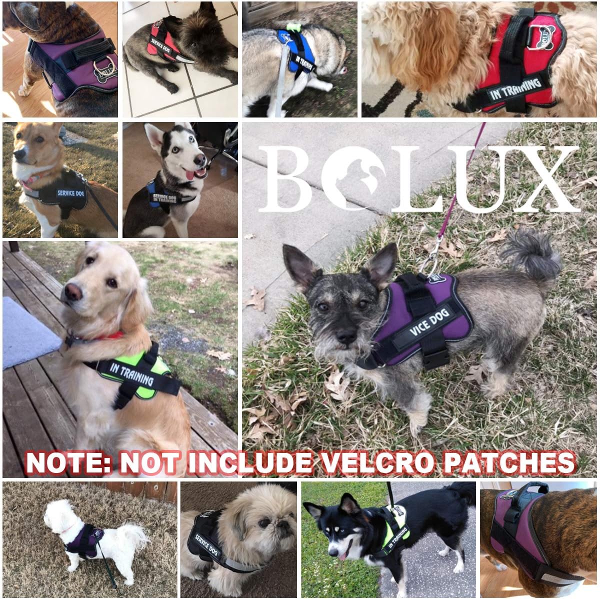 Bolux Dog Harness, No-Pull Reflective Dog Vest, Breathable Adjustable Pet Harness with Handle for Outdoor Walking - No More Pulling, Tugging or Choking (Rose red, M)