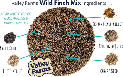 Valley Farms Wild Finch Mix (4 LB) Wild Bird Food for Outside Feeders, Wild Bird Seed with Millet and Chopped Sunflower Hearts for Birds, Finch Seed for Finch Feeders, Sunflower Kernels