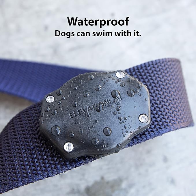 Elevation Lab AirTag Dog Collar Holder - TagVault™ - Secure Thru-Mount, IP69 Waterproof, Doesn't Dangle, Fits All Width Collars