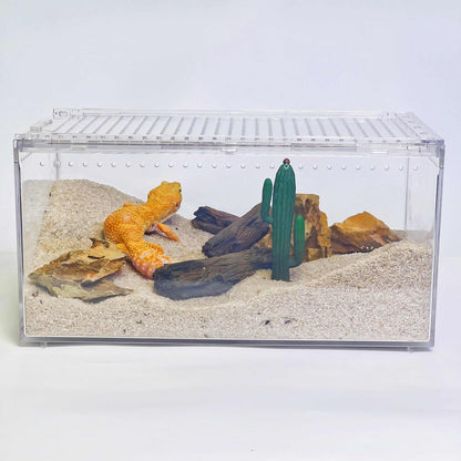 PC Reptile Terrarium, Leopard Gecko Tank, Jumping Spider Enclosure, Lizard Enclosure, Suitable for Gecko, Hermit Crab, Tree Frog, Tarantula, Praying Mantis Habitat Tank Starter (Large)