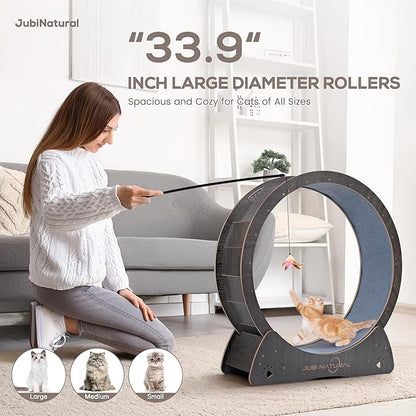 Cat Exercise Wheel, 35.9" Cat Running Wheel for Indoor Cats with Quiet Carpeted Runway, Cats Treadmill Wheels with Locking Mechanism, Cat's Weight Loss and Health - Black